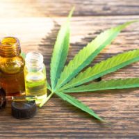 Cannabis Cannabis