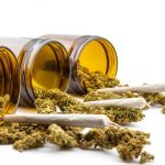 Cannabis_